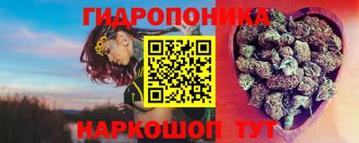 сатива Заволжье