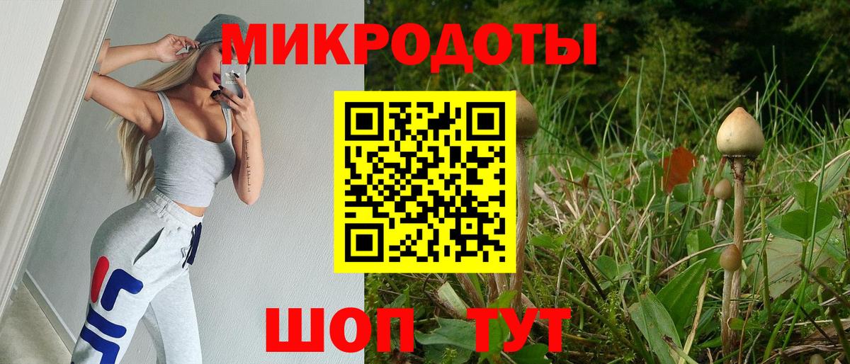 Псилоцибиновые грибы мицелий Мурманск