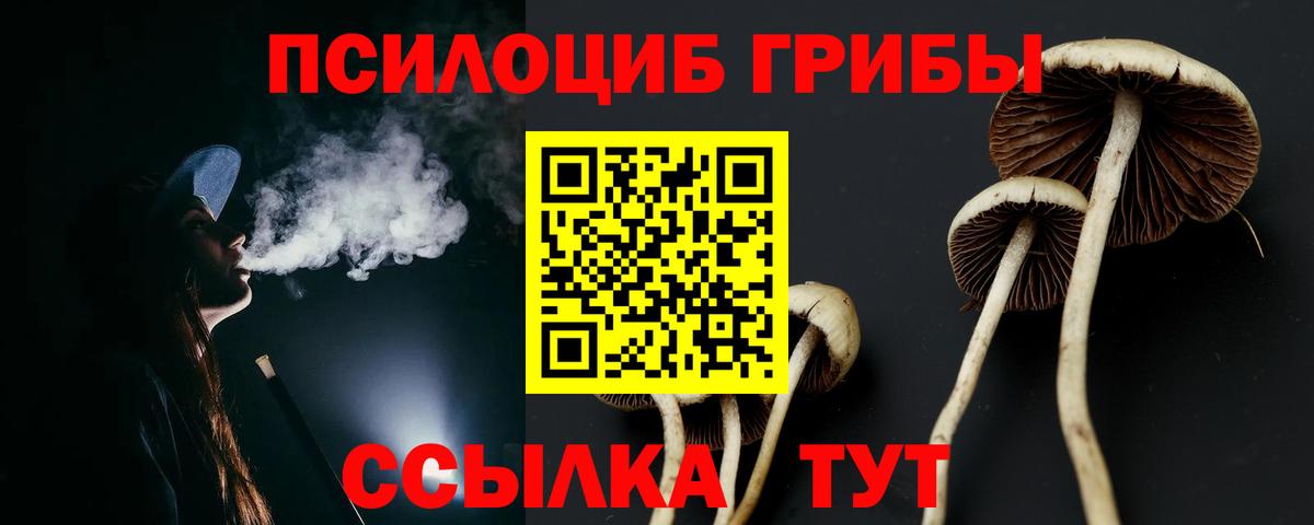 наркота  Галлюциногенные грибы GOLDEN TEACHER  Псилоцибиновые грибы мицелий  Вход с VPN  Мурманск 
